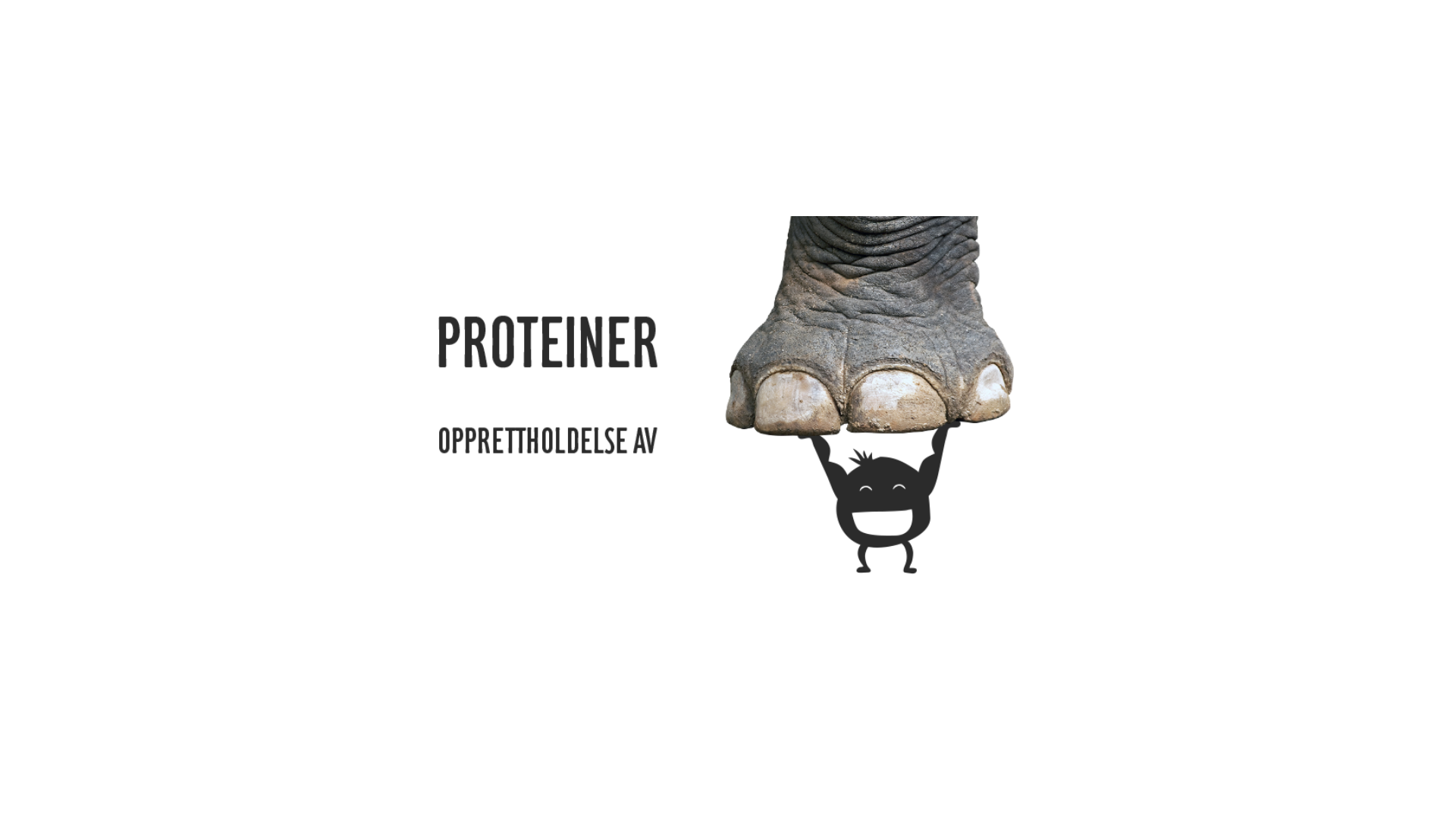 Protein som løfter elefant
