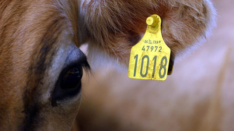 Sporbarhet tilbake til gården